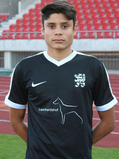 Leonardo Gabriele Zornio