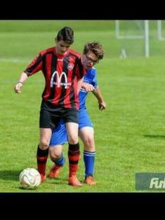 Avatar Bild